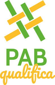 Ambiente Virtual de Aprendizagem - Programa Artesanato Brasileiro